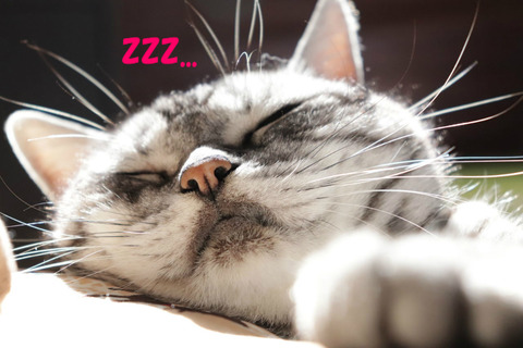 zzz