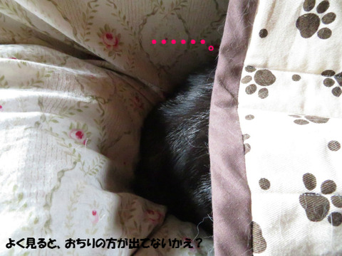 隠えてうはじゅ!