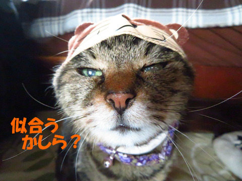 どう?