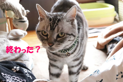 ドコにも行かない?