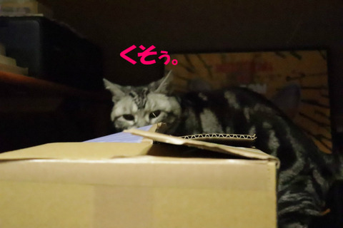 むーん。