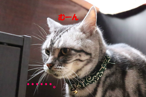 ・・・。