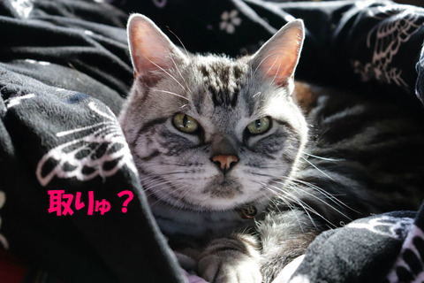 ?