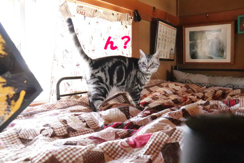 なに?