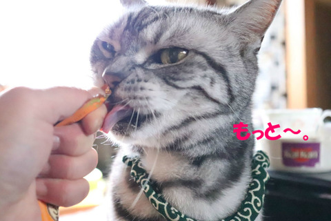 もっと食べう!