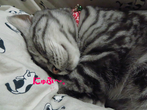 zzz…