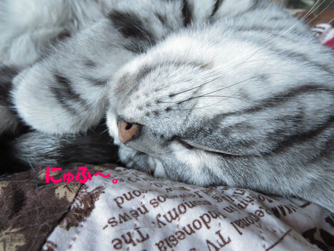 zzz…