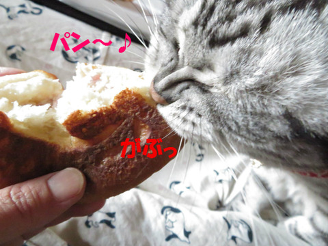 やったぁ♥