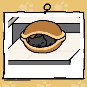 どら焼きねこ