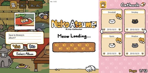 Meow Loading