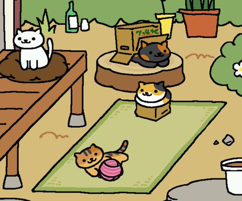 ダンボール(小)に入るねこ