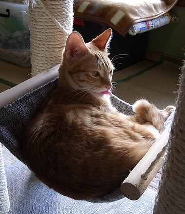 やべぇ