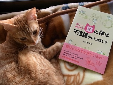 ねこの本2