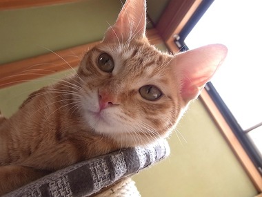 いっちゃん