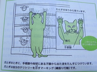 ねこの本5