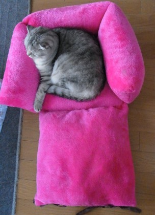 １００円ボア座布団で作る大きな猫ベッド 猫だらけ Powered By ライブドアブログ