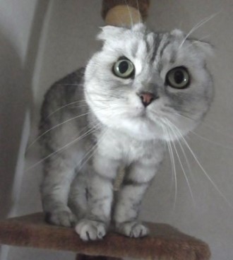 マリンカレンー⑧