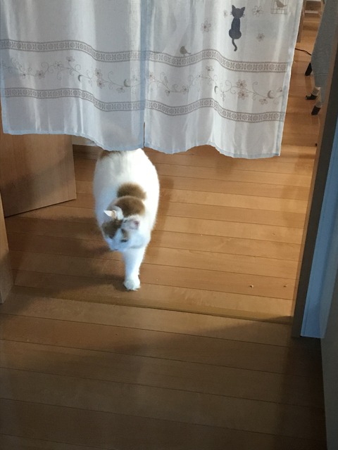 2018-09-26 16.31.33