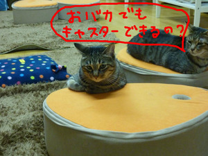 BlogPaint