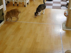 DSCN0901