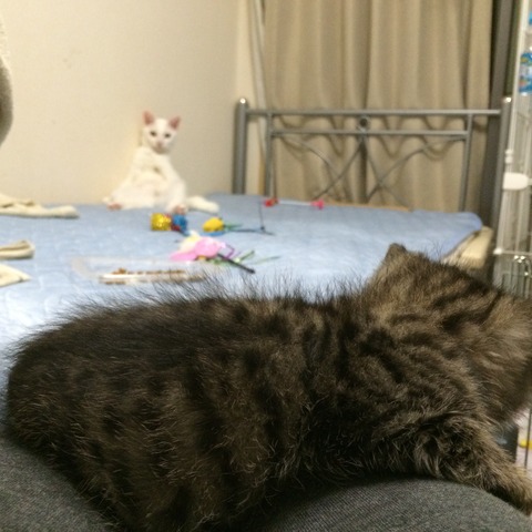 2015-06-02 22.07.22-1