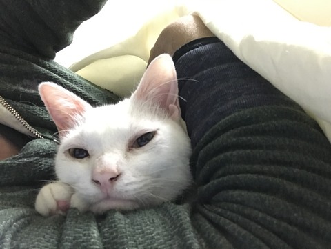 写真 2017-10-08 2 19 07