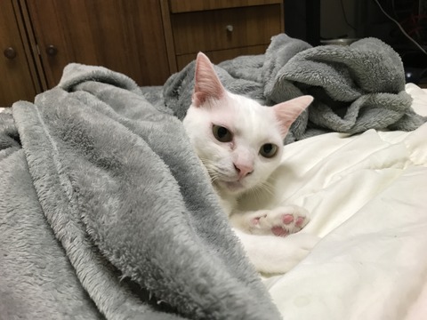 写真 2017-10-01 20 09 17