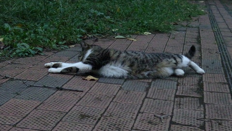 DSC01819