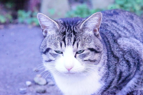 DSC03972