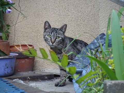 DSC06644