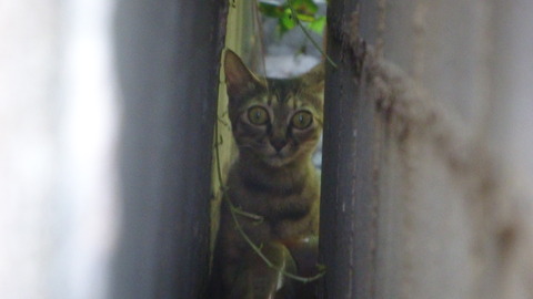 DSC00766