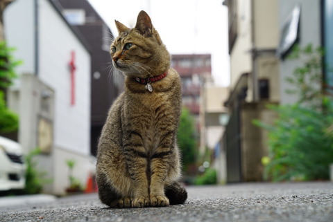 写真 2018-07-07 7 22 51