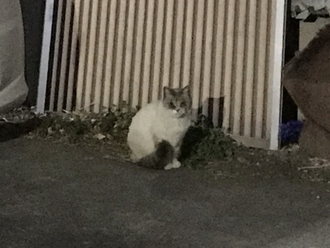 写真 2019-02-23 18 03 49