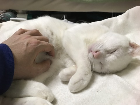 写真 2017-12-18 23 00 35