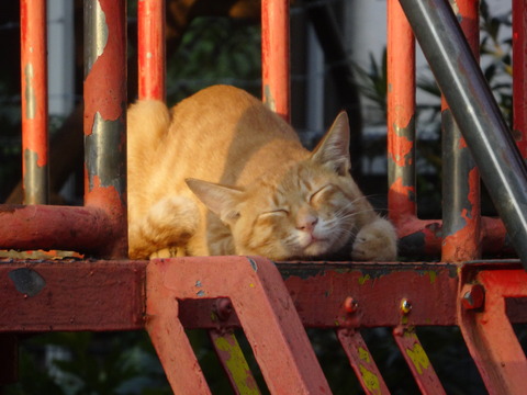 DSC00909