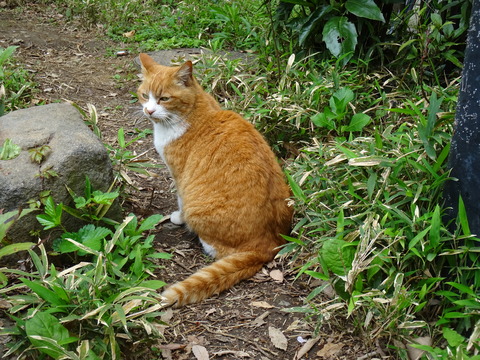 ȋȑq part 2 [f]ڋ֎~]©bbspink.com	->摜>4494 