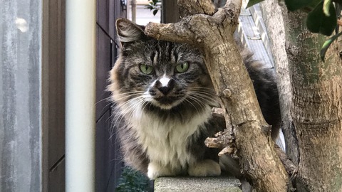 写真 2018-09-23 15 53 09
