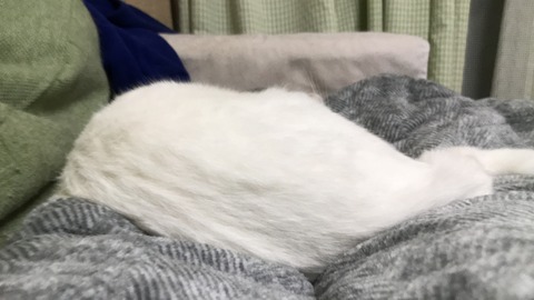 写真 2019-01-02 17 50 23