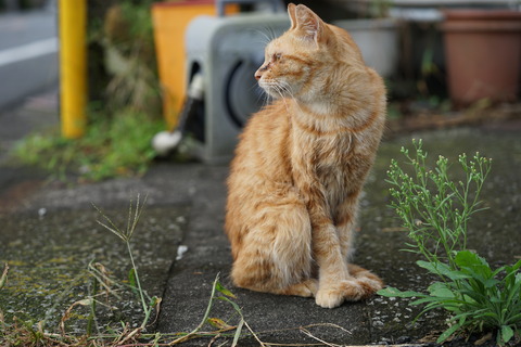 DSC09620