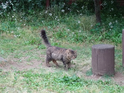 DSC06299