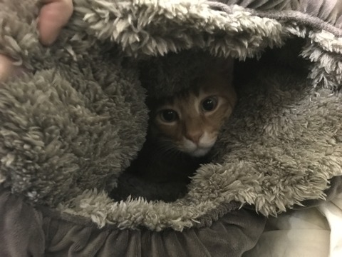 写真 2017-12-18 17 39 11