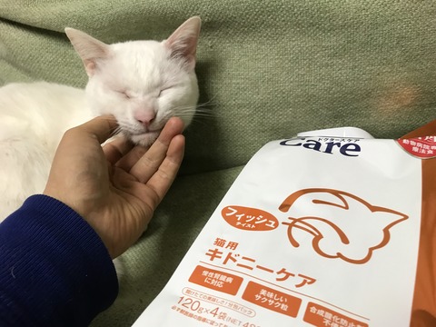 写真 2018-04-18 19 39 49