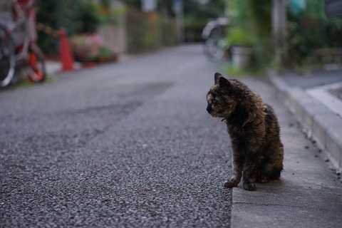 DSC09680
