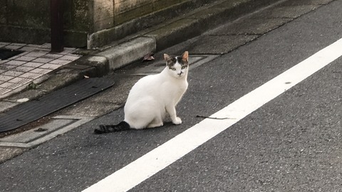 写真 2018-08-14 5 47 04