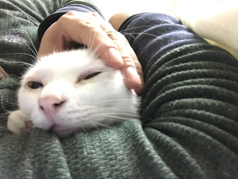 写真 2017-10-08 2 22 38