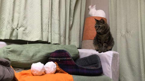 写真 2018-01-22 19 04 06
