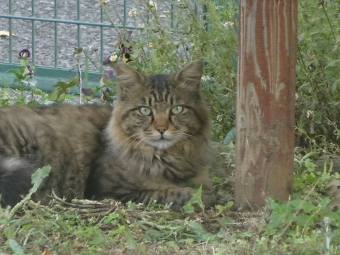 DSC00012