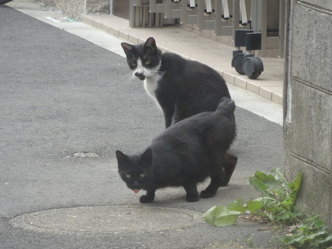 DSC00022