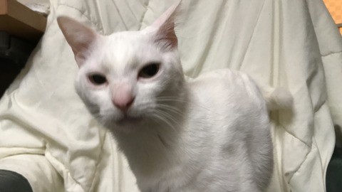 写真 2019-03-01 23 52 32