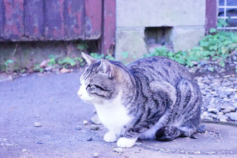 DSC03969